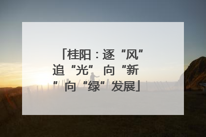 桂阳：逐“风”追“光” 向“新”向“绿”发展