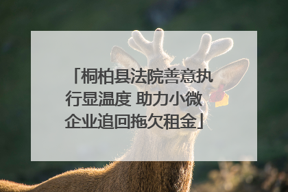 桐柏县法院善意执行显温度 助力小微企业追回拖欠租金