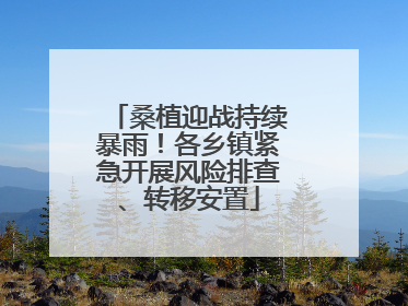 桑植迎战持续暴雨！各乡镇紧急开展风险排查、转移安置