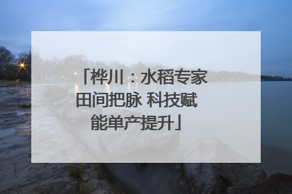 桦川：水稻专家田间把脉 科技赋能单产提升
