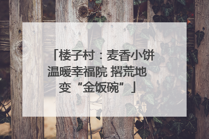 楼子村：麦香小饼温暖幸福院 撂荒地变“金饭碗”