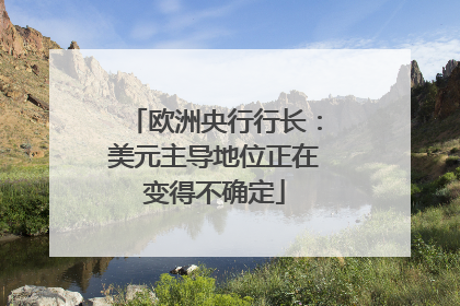 欧洲央行行长：美元主导地位正在变得不确定