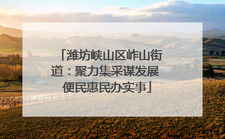 潍坊峡山区岞山街道：聚力集采谋发展 便民惠民办实事
