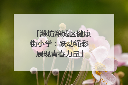 潍坊潍城区健康街小学：跃动绳彩展现青春力量