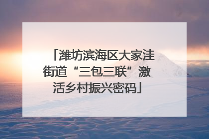 潍坊滨海区大家洼街道“三包三联”激活乡村振兴密码