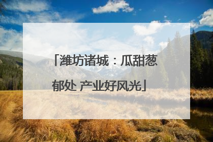 潍坊诸城：瓜甜葱郁处 产业好风光