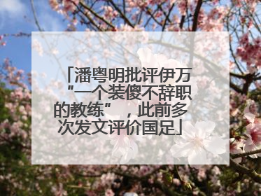 潘粤明批评伊万“一个装傻不辞职的教练”，此前多次发文评价国足