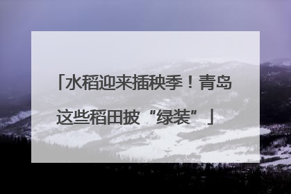 水稻迎来插秧季！青岛这些稻田披“绿装”