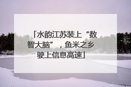 水韵江苏装上“数智大脑”，鱼米之乡驶上信息高速