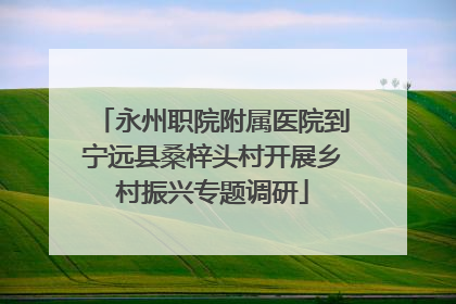 永州职院附属医院到宁远县桑梓头村开展乡村振兴专题调研