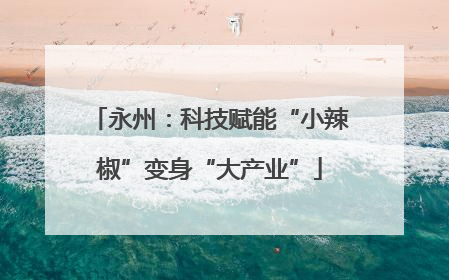 永州：科技赋能“小辣椒”变身“大产业”