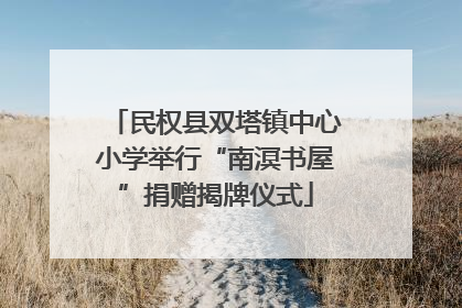 民权县双塔镇中心小学举行“南溟书屋”捐赠揭牌仪式