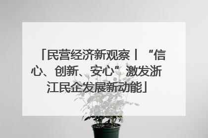 民营经济新观察丨“信心、创新、安心”激发浙江民企发展新动能
