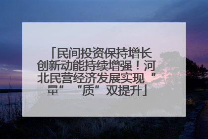 民间投资保持增长 创新动能持续增强！河北民营经济发展实现“量”“质”双提升