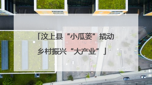 汶上县“小瓜蒌”撬动乡村振兴“大产业”