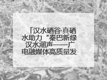 汉水硒谷·真硒水助力“秦巴新绿 汉水潮声——广电融媒体高质量发展陕西采访行”
