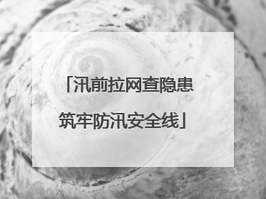 汛前拉网查隐患 筑牢防汛安全线