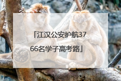 江汉公安护航3766名学子高考路