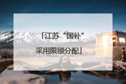 江苏“国补”采用限额分配