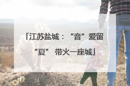 江苏盐城：“音”爱留“夏” 带火一座城