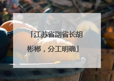 江苏省副省长胡彬郴，分工明确