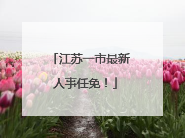 江苏一市最新人事任免！
