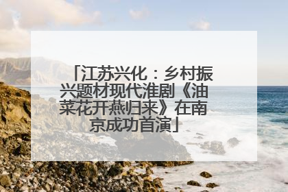 江苏兴化：乡村振兴题材现代淮剧《油菜花开燕归来》在南京成功首演