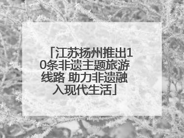 江苏扬州推出10条非遗主题旅游线路 助力非遗融入现代生活
