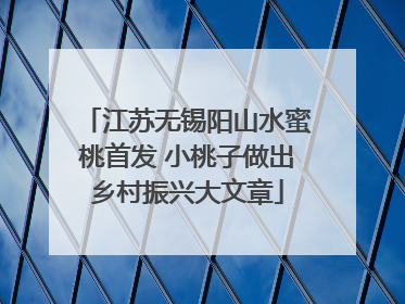 江苏无锡阳山水蜜桃首发 小桃子做出乡村振兴大文章