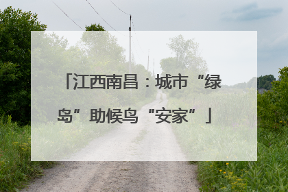 江西南昌：城市“绿岛”助候鸟“安家”