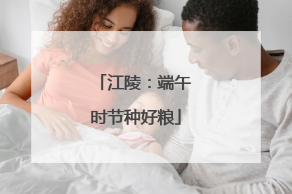 江陵：端午时节种好粮