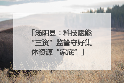 汤阴县：科技赋能“三资”监管守好集体资源“家底”