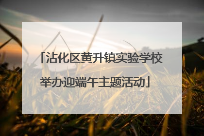 沾化区黄升镇实验学校举办迎端午主题活动