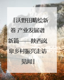 沃野田畴绘新卷 产业发展谱新篇——陕西岚皋乡村振兴走访见闻