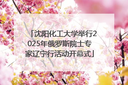 沈阳化工大学举行2025年俄罗斯院士专家辽宁行活动开幕式