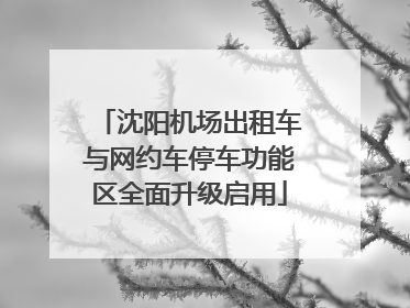 沈阳机场出租车与网约车停车功能区全面升级启用