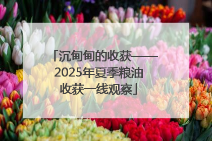 沉甸甸的收获——2025年夏季粮油收获一线观察