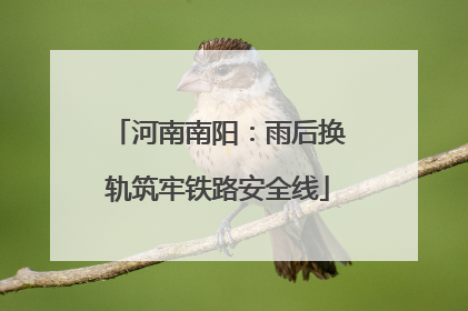 河南南阳：雨后换轨筑牢铁路安全线