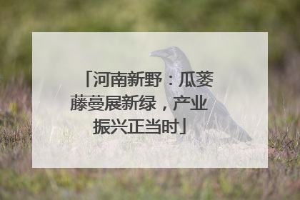 河南新野：瓜蒌藤蔓展新绿，产业振兴正当时