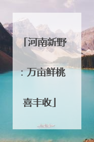 河南新野：万亩鲜桃喜丰收