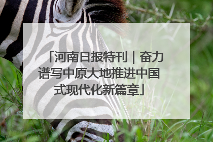 河南日报特刊｜奋力谱写中原大地推进中国式现代化新篇章