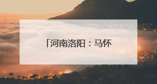 河南洛阳：马怀庆到偃师区指导调研防汛综合应急演练等工作