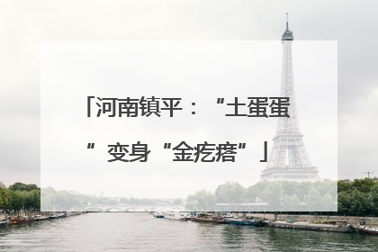 河南镇平：“土蛋蛋”变身“金疙瘩”