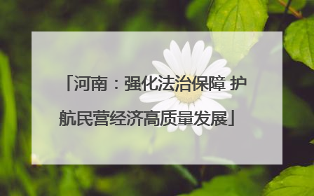 河南：强化法治保障 护航民营经济高质量发展