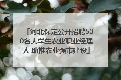 河北保定公开招聘500名大学生农业职业经理人 助推农业强市建设