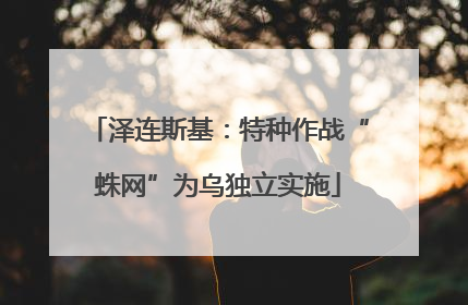 泽连斯基：特种作战“蛛网”为乌独立实施