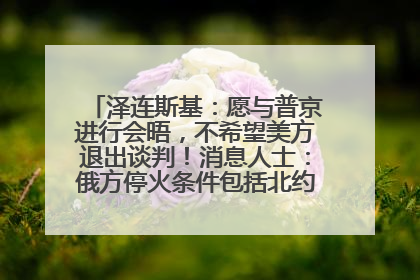 泽连斯基：愿与普京进行会晤，不希望美方退出谈判！消息人士：俄方停火条件包括北约“书面”保证不东扩
