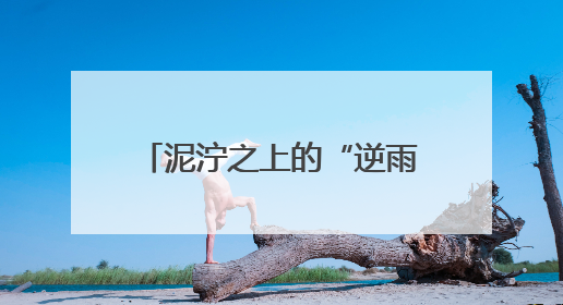 泥泞之上的“逆雨”叙事：一场音乐节折射出的城市温度