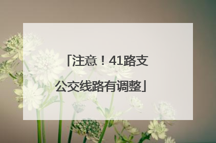 注意！41路支公交线路有调整