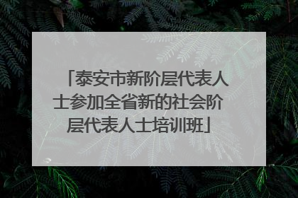 泰安市新阶层代表人士参加全省新的社会阶层代表人士培训班